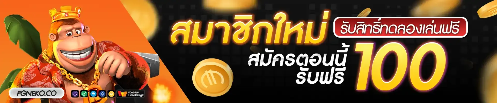 pgneko-สมาชิกใหม่